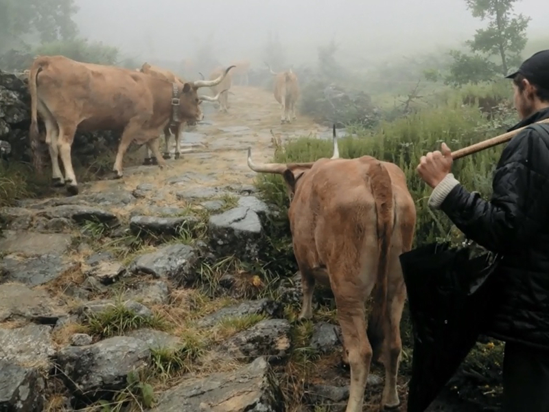 Foto 2 de Volta à Terra