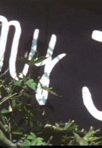 Meu P-Q-V (My J-W-F)
