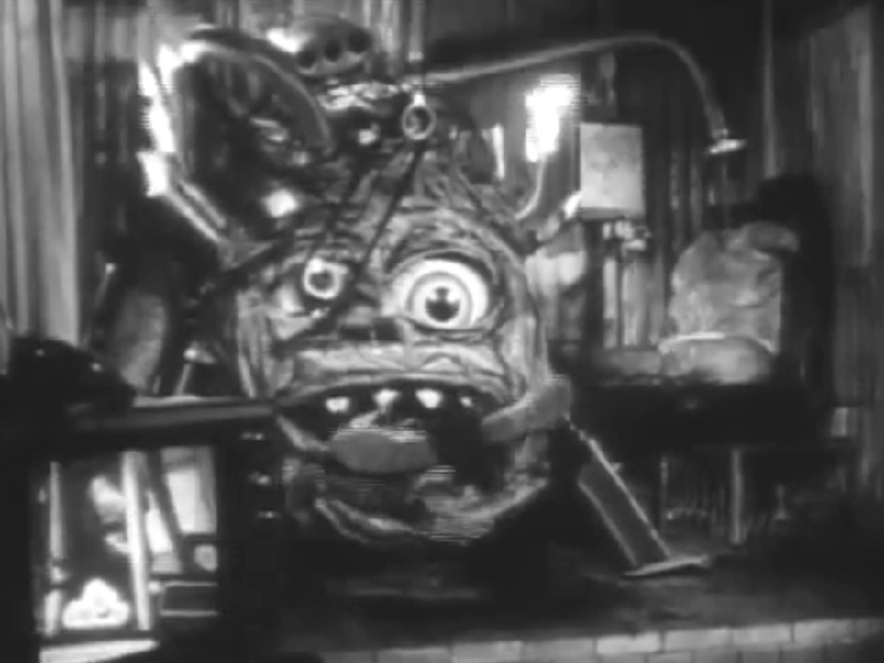 Foto 1 de Red and Rosy