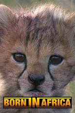 Nascidos na África: O Ciclo da Vida (Born in Africa: The Circle of Life)
