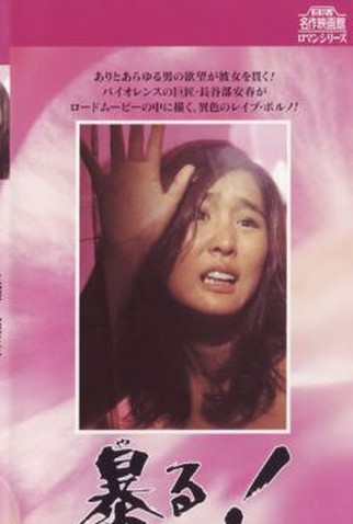 Poster 1 de Filme Raping! (1978)