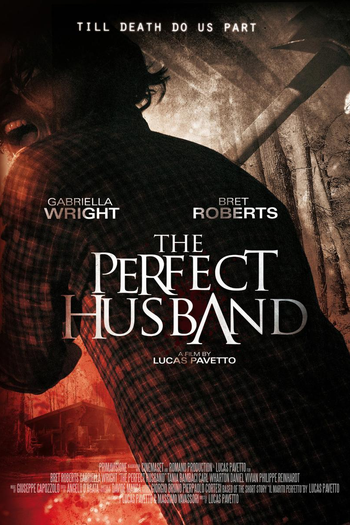 Poster de Filme O Marido Perfeito (2014)
