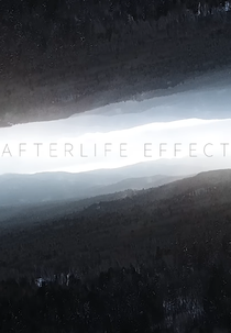 Paradox Obscur: Afterlife Effect (Paradox Obscur: Afterlife Effect)