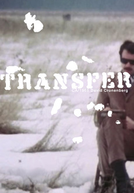 Transferência (Transfer)