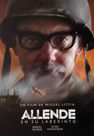 Allende em seu labirinto