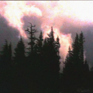 Foto de perfil de peddro