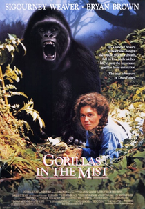 Nas Montanhas dos Gorilas (Gorillas in the Mist: The Story of Dian Fossey)