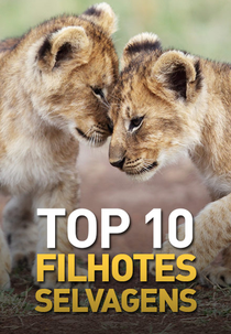 Top 10 Filhotes Selvagens (Top 10 Filhotes Selvagens)