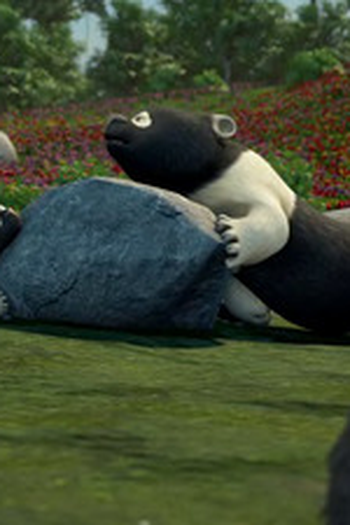 Poster de Episódio The Bear Facts (None)