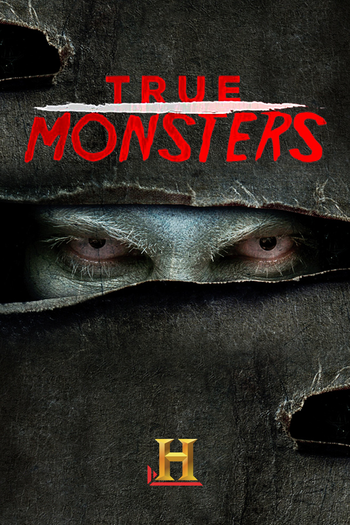 Poster de Franquia True Monsters (2015)