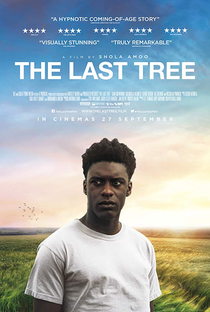The Last Tree - Poster / Capa / Cartaz - Oficial 1
