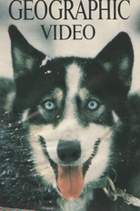 National Geographic - Esses Cães Maravilhosos (Those Wonderful Dogs)