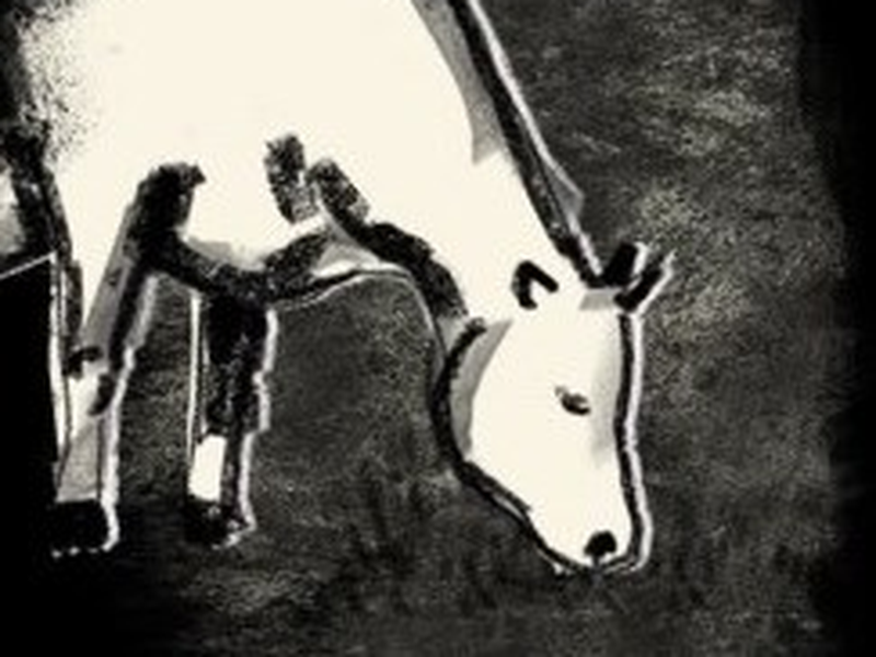 Foto 1 de Sob a Pata do Boi