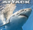NOVA: Por que os tubarões atacam