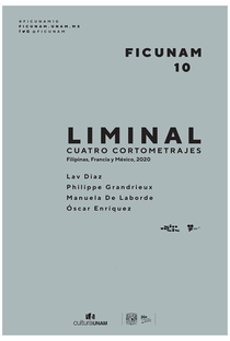 Liminal - Poster / Capa / Cartaz - Oficial 1