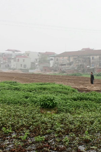 Poster de Curta Landscape Series #1 (2013)