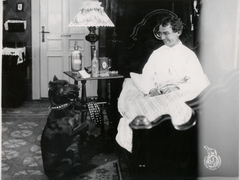 Foto 4 de Four-legged Sherlock Holmes