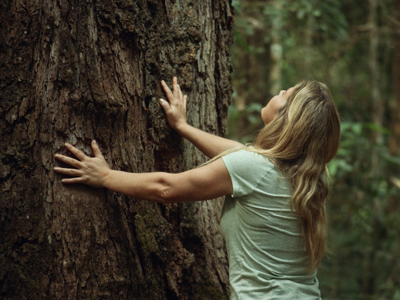 Foto 4 de Protetores da Floresta