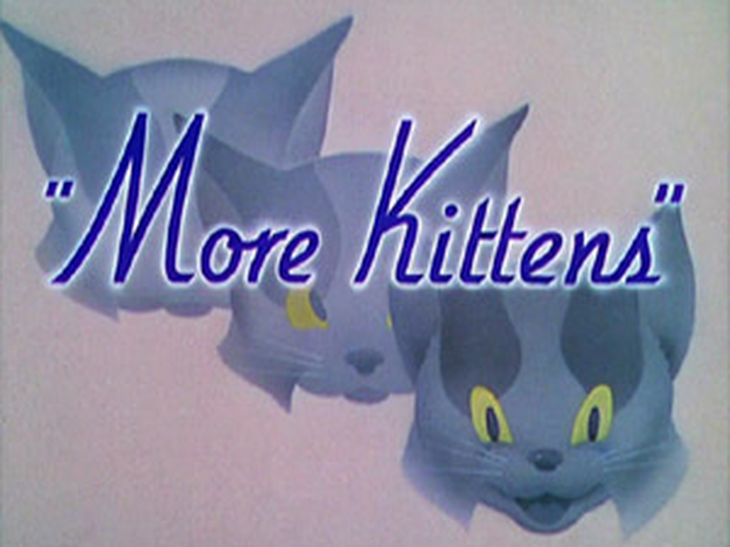 Foto 1 de More Kittens