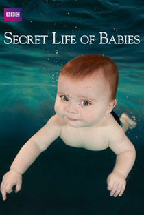 A Vida Secreta dos Bebês - Poster / Capa / Cartaz - Oficial 1