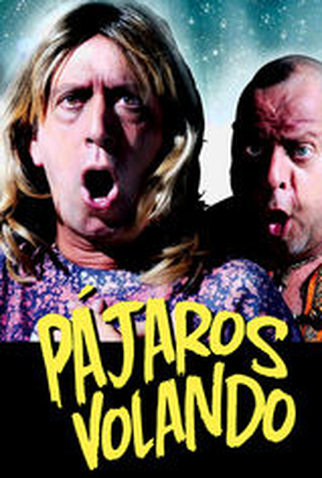 Poster 1 de Filme Pájaros volando (2010)