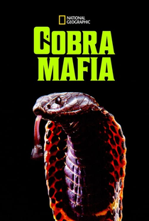 A Máfia das Cobras - Poster / Capa / Cartaz - Oficial 3