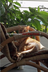 Onde está você, Jean-Marie Straub? (Où en êtes-vous, Jean-Marie Straub?)