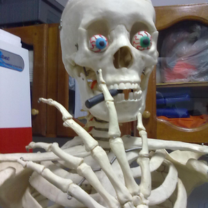Foto de perfil de Bakellar_Neto
