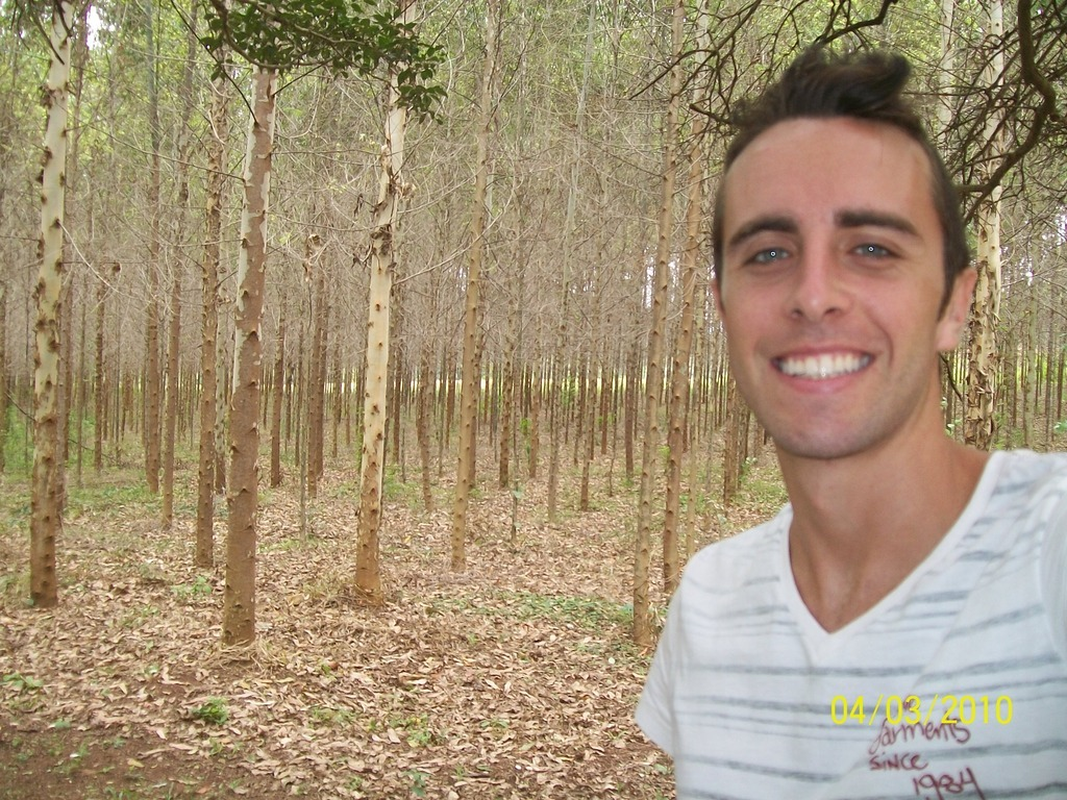 Bernardo - Foto 2