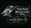 Their First Divorce Case