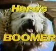 Boomer (1ª Temporada)