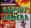 Amazing Video Collection: Caught On Camera