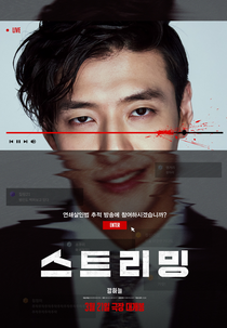 Streaming (스트리밍)