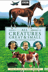 Criaturas Grandes e Pequenas (1ª Temporada) (All Creatures Great and Small (Season 1))