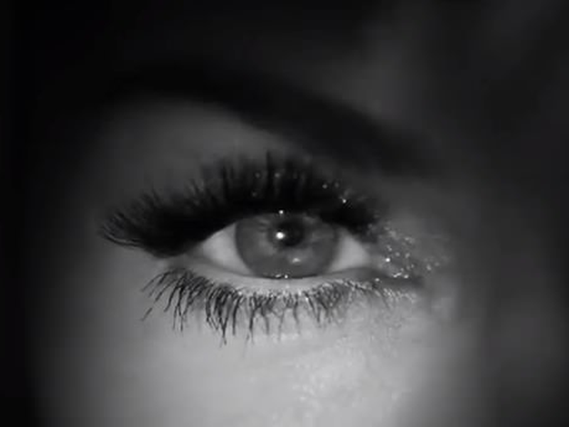 Foto 4 de Secret Project Revolution