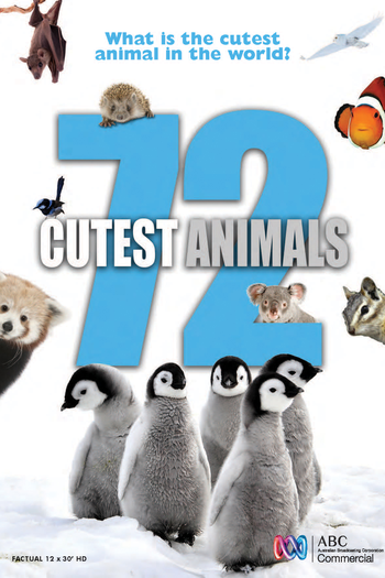 Poster de TV 72 Animais Fofos (2016)