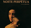 Noite Perpétua