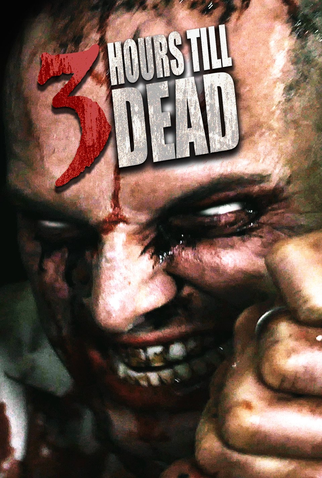Poster 2 de Filme 3 Hours till Death (2016)
