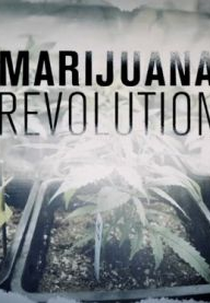 A Revolução da Maconha (The Marijuana Revolution)