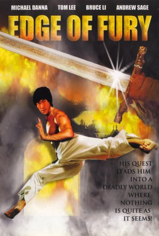 Poster 2 de Filme Fúria de Dragão (1978)