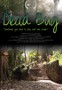 Dead Bug (Insecto muerto)
