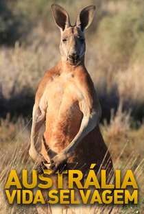 Austrália - Vida Selvagem - Poster / Capa / Cartaz - Oficial 1