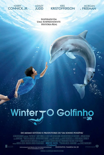 Winter, o Golfinho - Poster / Capa / Cartaz - Oficial 1