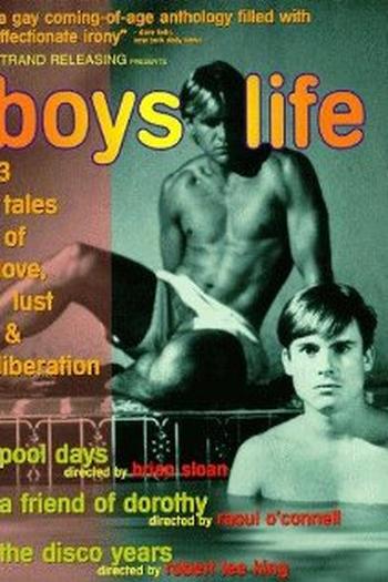 Poster de Filme Boys Life (1994)