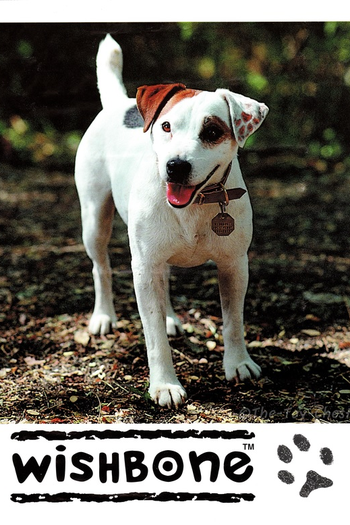 Poster de TV A Dogged Expose by Wishbone (1995)
