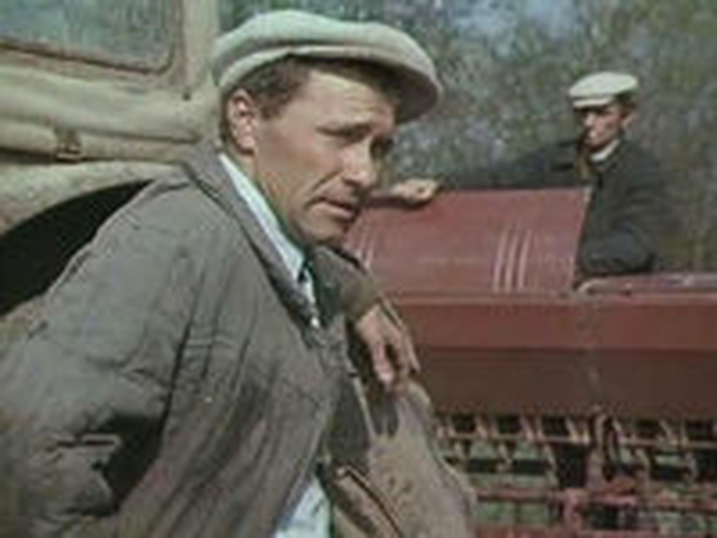 Foto 4 de The Red Snowball Tree 