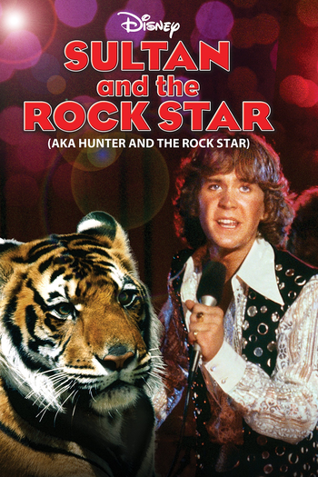 Poster de Filme O Sultão e o Astro do Rock (1980)