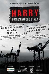 Harry: O Caos no Céu Cinza - Poster / Capa / Cartaz - Oficial 1