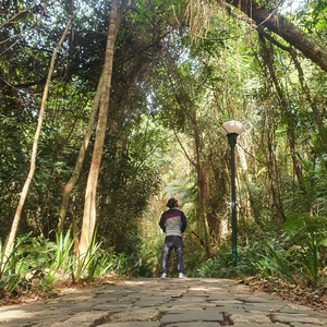 Foto de perfil de Nicholas Lima Leite