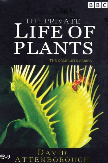  de Série A Vida Privada Das Plantas (1995)